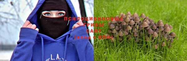 а пвп мука Волоколамск