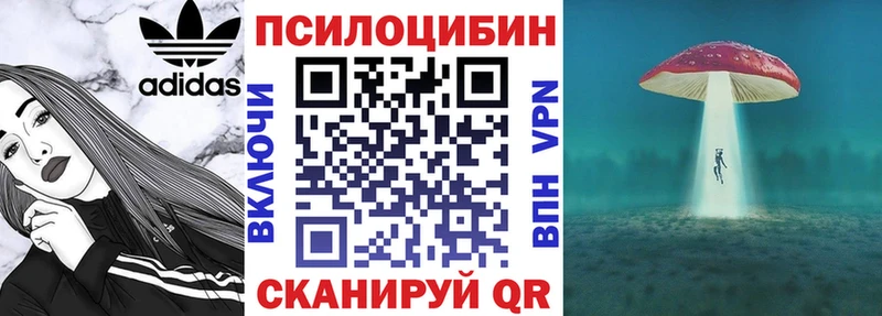купить наркотик  Орехово-Зуево  Псилоцибиновые грибы Cubensis 